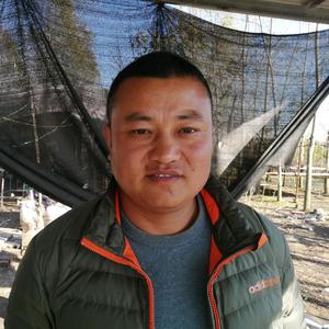 沙漠狂龙7x0q头像