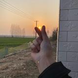 厦门男发设计之神头像