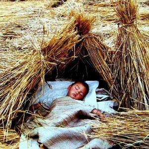 独狼范哥头像