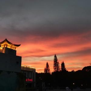 福州禅武头像