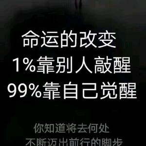 丁丁陪你未来可期头像