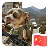 太和海洋精品车行头像