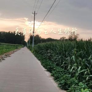 幸福叶子dS头像