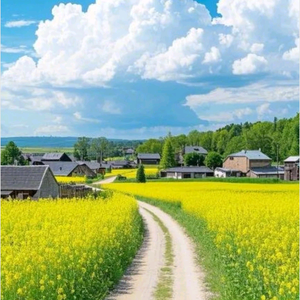 你他乡还好吗头像