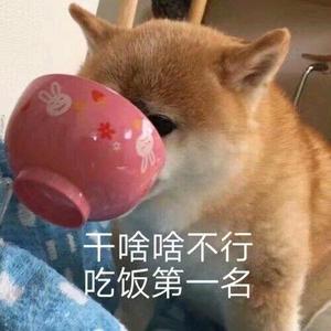 苏琳（直播回放）头像