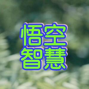 悟空智慧CZB头像