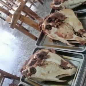 枣庄市市中区兰陵磨山驴肉头像