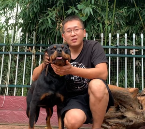 大洋犬舍头像