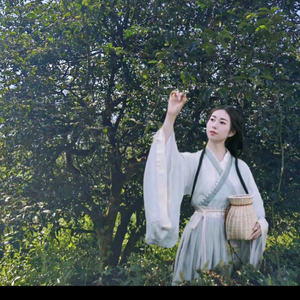 小师姐·富硒红岗古茶头像