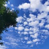 用户2120753643023头像