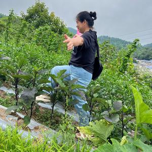 荆州行头像