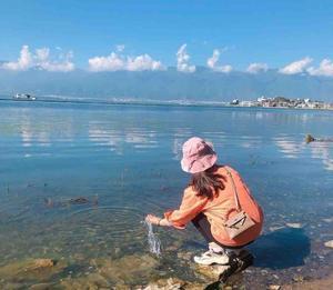 湘楚小岚头像