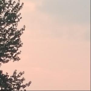 云与天头像