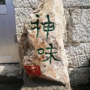 于负堂学术讲座头像