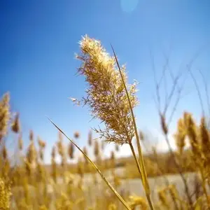 生活广角度头像