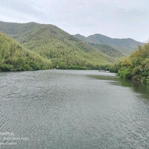 幸运漂流瓶enS头像