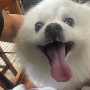 Yz头像
