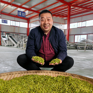 木门茶业头像