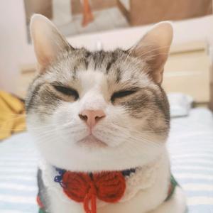 五一与小十一头像