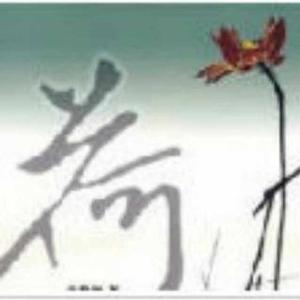荷风影像头像