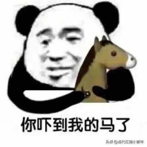 是皮皇玖璃吖头像