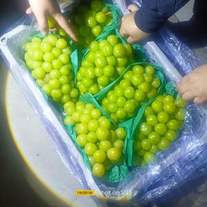 东方果业头像