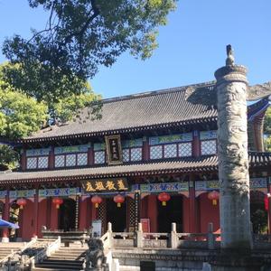 南山道人头像