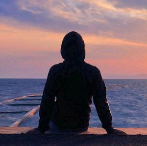鑫海聊故事头像