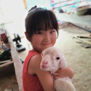 临泉县新捷牧业头像