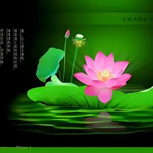 巾采健康头像