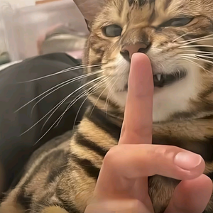 季多多头像