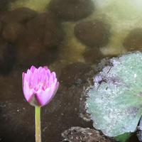 爱运动的帅小伙头像