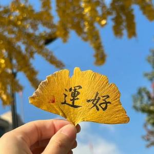 灯下疾书的笔者头像