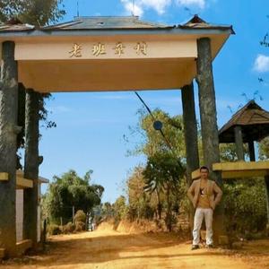 骋冰/陈氏普洱头像