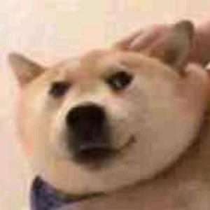 言守中一言老狗头像