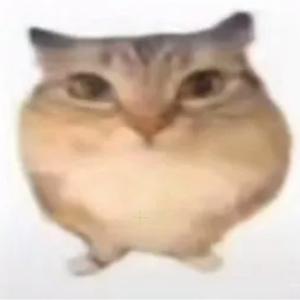 阿王Delight 头像