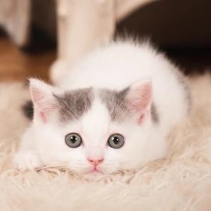 森762头像