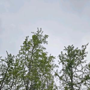 国铁商城好物推荐头像