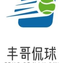 丰哥侃球头像