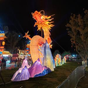 流浪小李子头像