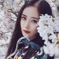 宣宣影视娱乐大大圈头像