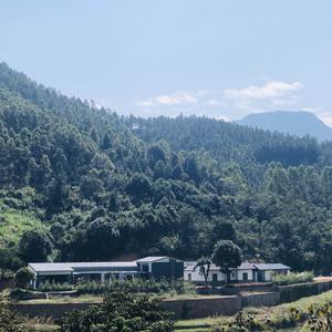 松花谷农场头像