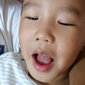先知随风头像