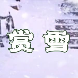 临栏赏雪头像