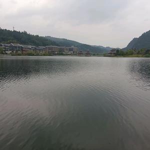 乡下小罗头像