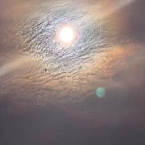 星知头像