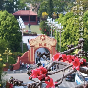 海陆风云头像