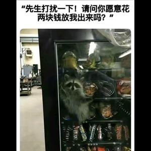 我是zOu头像