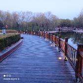 博学阳光之旅头像