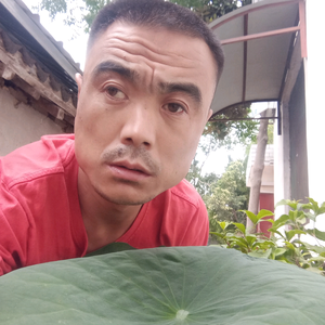 開門紅。头像